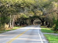 29940RoLeSh - On the way from Kiawah Island, SC -    Each New Day A Miracle  [  Understanding the Bible   |   Poetry   |   Story  ]- by Pete Rhebergen